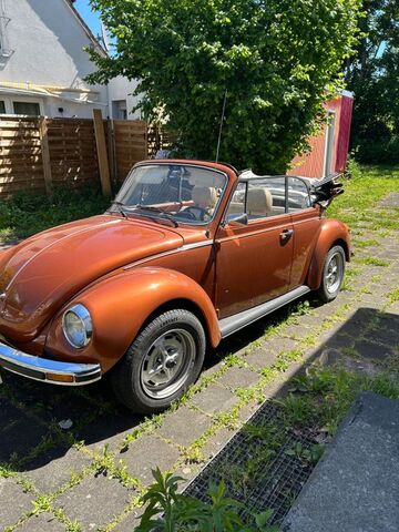 Gebrauchte VW Käfer